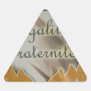 Adesivo Triangular Liberdade, Igualdade, Fraternidade: Futuro Floread