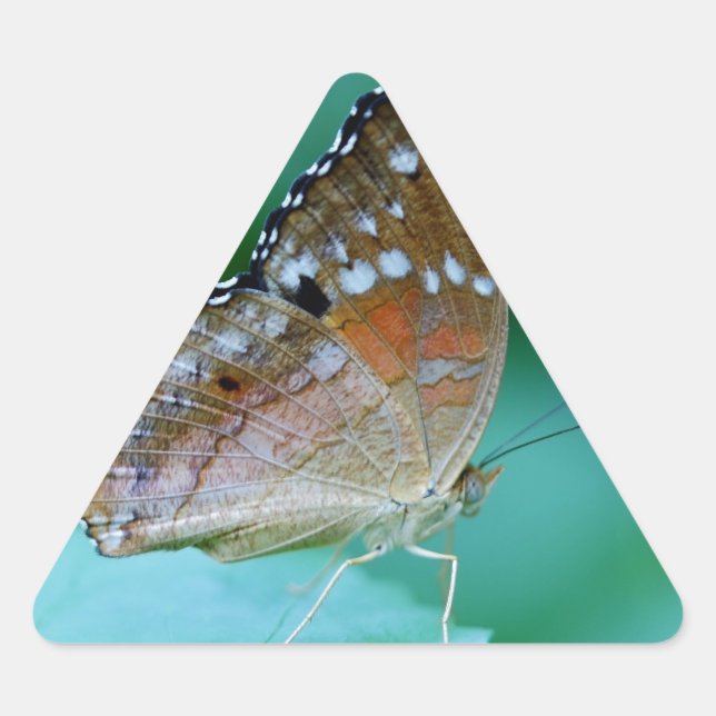 Adesivo Triangular Linda Borboleta Danaus Plexippus na Folha. (Frente)