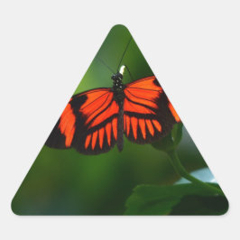 Adesivo Triangular Linda borboleta vermelha e negra