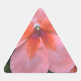 Adesivo Triangular Lindas flores de jardim cor-de-rosa. Fotografia or