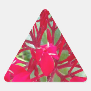 Adesivo Triangular Lindas flores vermelhas incríveis