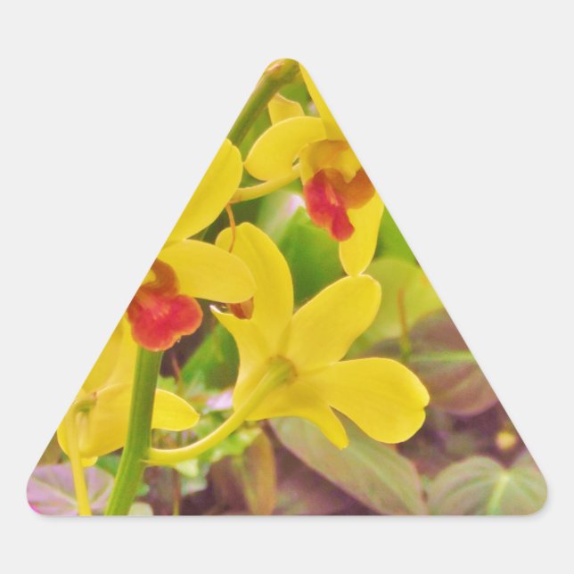 Adesivo Triangular Lindas orquídeas de outono amarelas (Frente)