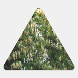 Adesivo Triangular Madressilva Numa Parede
