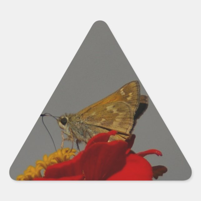 Adesivo Triangular Mães e Zinnia Vermelha (Frente)