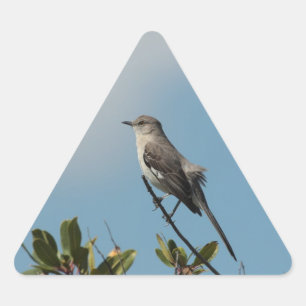 Adesivo Triangular Mockingbird Sticker