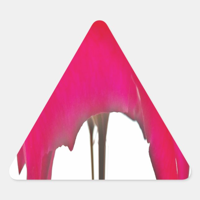 Adesivo Triangular Momento Capturado: Uma Elegância Petal Rosa vermel (Frente)