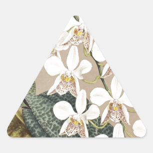 Adesivo Triangular Orquídeas