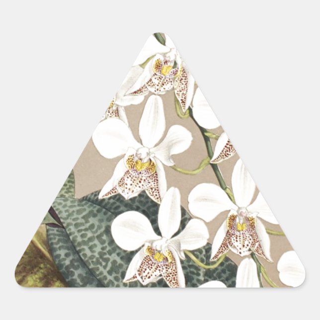 Adesivo Triangular Orquídeas (Frente)
