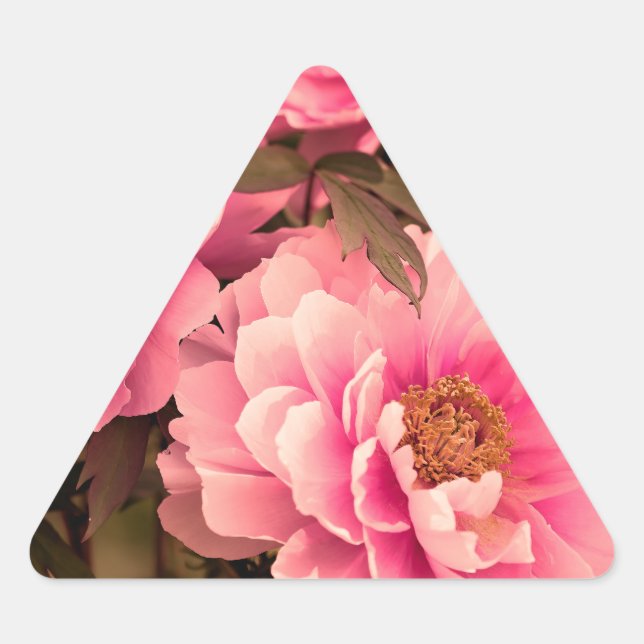 Adesivo Triangular Pink  Peony Flower (Frente)
