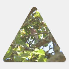 Adesivo Triangular Pintassilgo-real