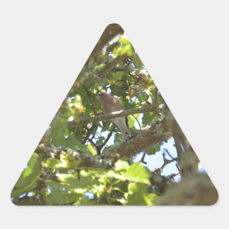 Adesivo Triangular Pintassilgo-real