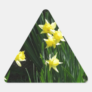 Adesivo Triangular Primavera Daffodils