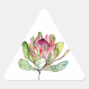 Adesivo Triangular Protea Flor