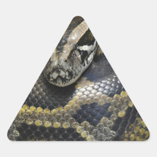 Adesivo Triangular "Python Real"