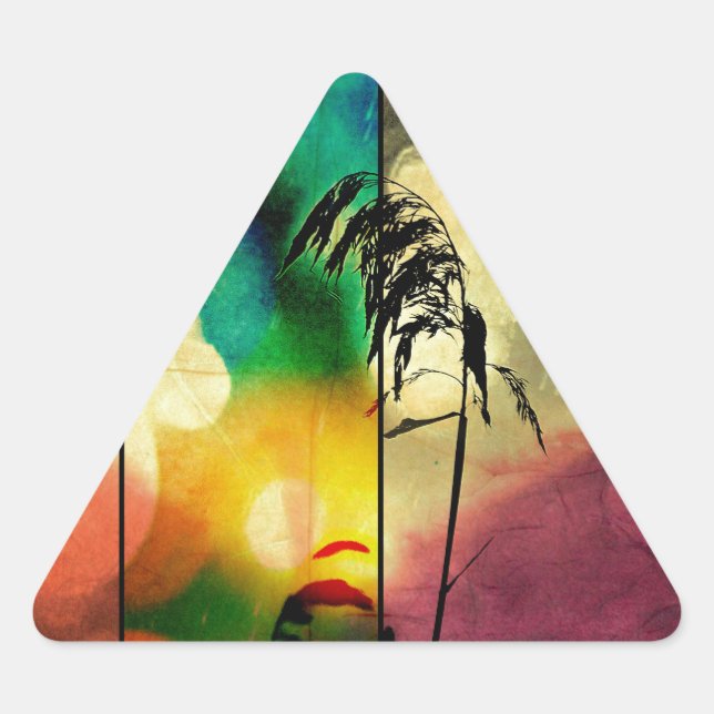 Adesivo Triangular Rainbow Grass Drama (Frente)