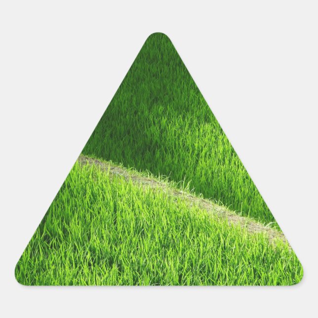 Adesivo Triangular Rice Terraces Yamada's Rice Fields Japão (Frente)