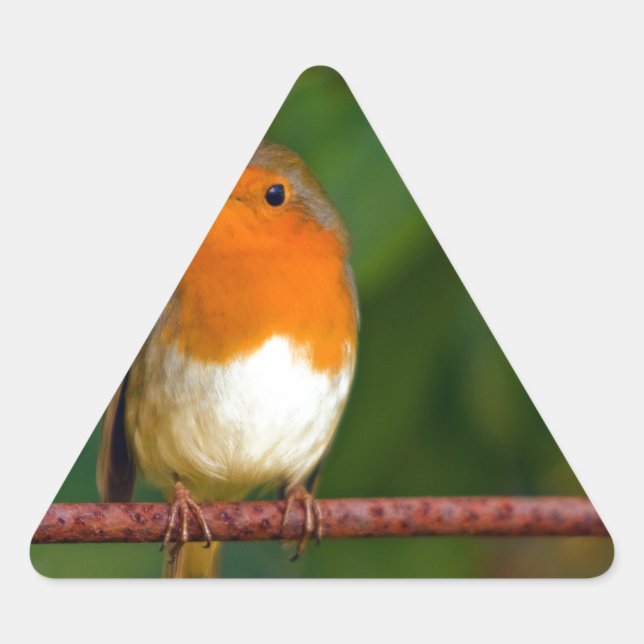 Adesivo Triangular Robin Natal (Frente)