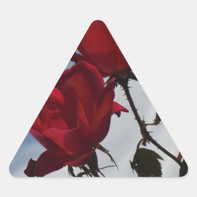 Adesivo Triangular Rosas vermelhas contra o céu azul brilhante (Frente)