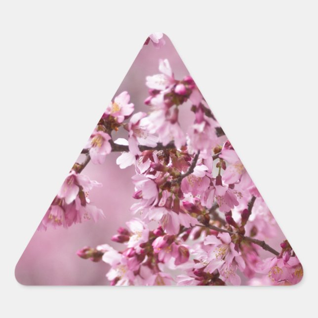 Adesivo Triangular Sakura Cherry Blossoms Pastel Pink Camadas (Frente)