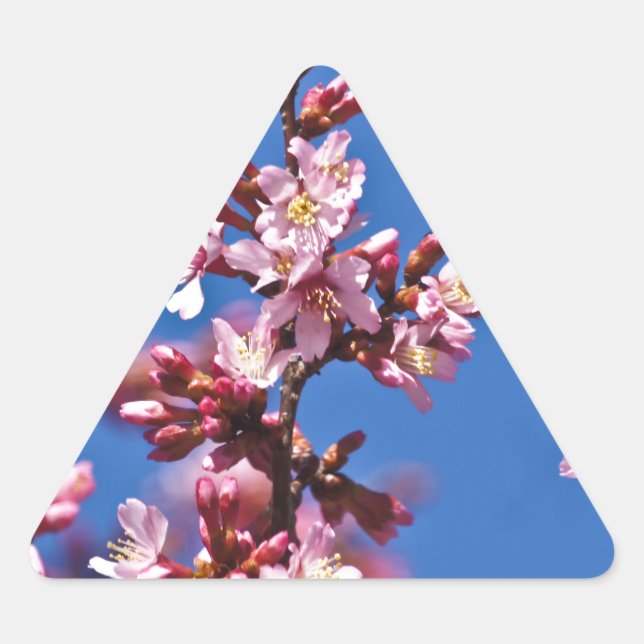 Adesivo Triangular Sakura Flores de Cerejeira Tocando o Azul (Frente)