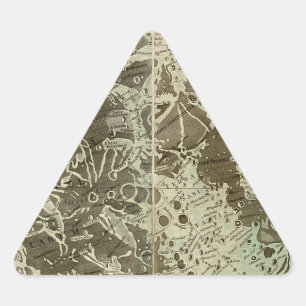 Adesivo Triangular Selenografia de Bowles ou Mapa da Lua - 1780