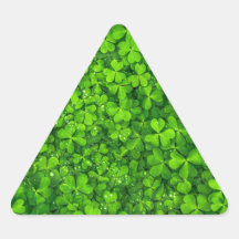 Shamrock Clovers Green Irish Símbolo Irlanda