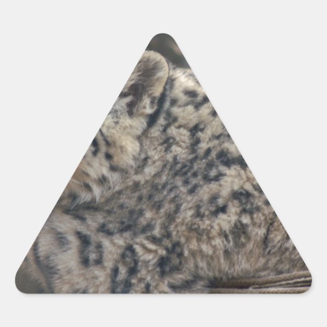 Adesivo Triangular Snow Lepard (Frente)