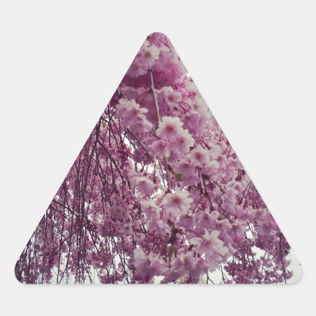 Adesivo Triangular Springtime (Frente)