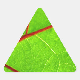 Adesivo Triangular St Thomas 1