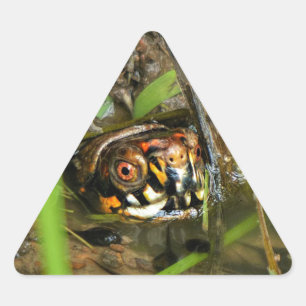 Adesivo Triangular Tartarugas e girinos