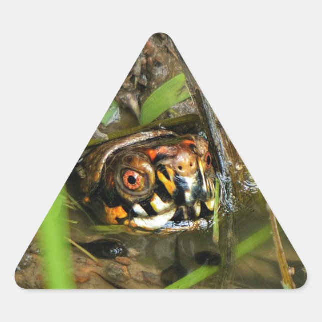 Adesivo Triangular Tartarugas e girinos (Frente)