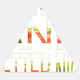 Adesivo Triangular Tenha um belo dia