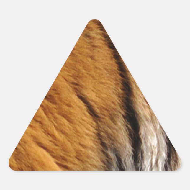 Adesivo Triangular Tigre-Stripes-Big Cat Wildlife (Frente)
