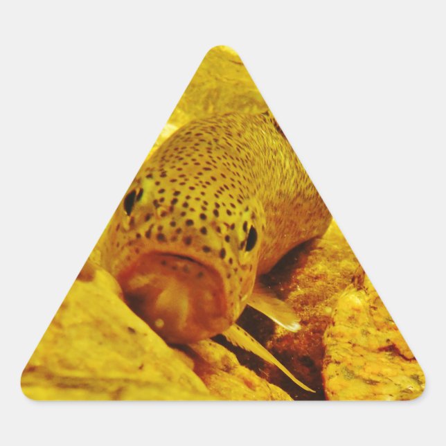 Adesivo Triangular Truta em fluxo (Frente)