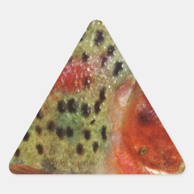 Adesivo Triangular Truta nas Mãos (Frente)