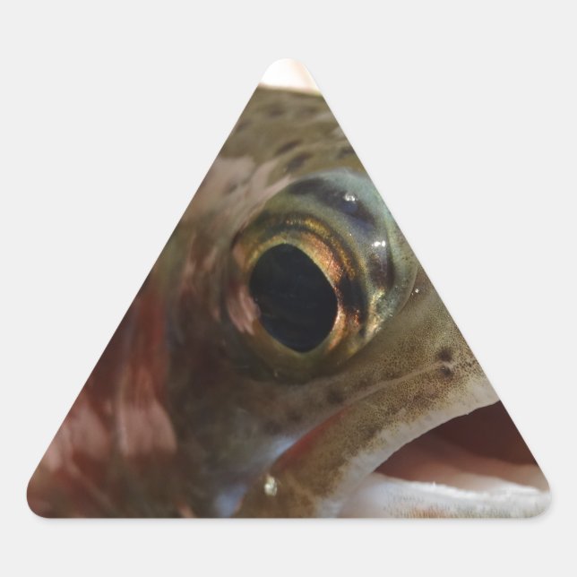 Adesivo Triangular Truta nas Mãos (Frente)