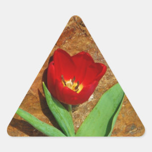Adesivo Triangular Tulipa Amarela e Vermelha