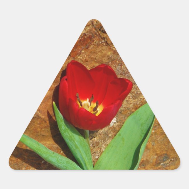 Adesivo Triangular Tulipa Amarela e Vermelha (Frente)