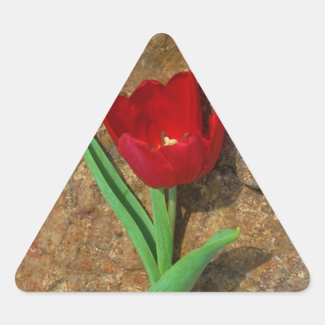 Adesivo Triangular Tulipa vermelha e amarela (Frente)