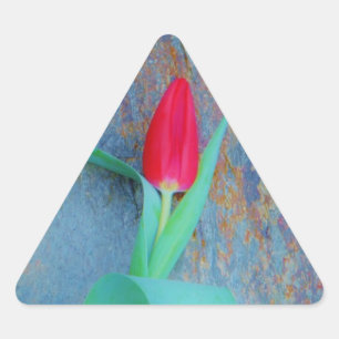 Adesivo Triangular Tulipa Vermelha na Cinza Azul