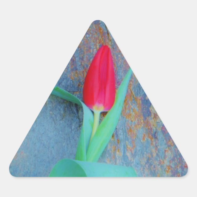 Adesivo Triangular Tulipa Vermelha na Cinza Azul (Frente)