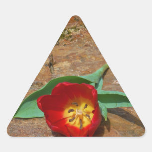 Adesivo Triangular Tulipa Vermelha primavera