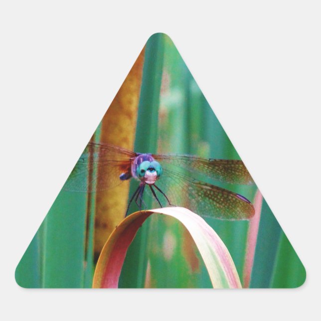 Adesivo Triangular Um Dragonfly de Olhos Vermelhos com cattails (Frente)