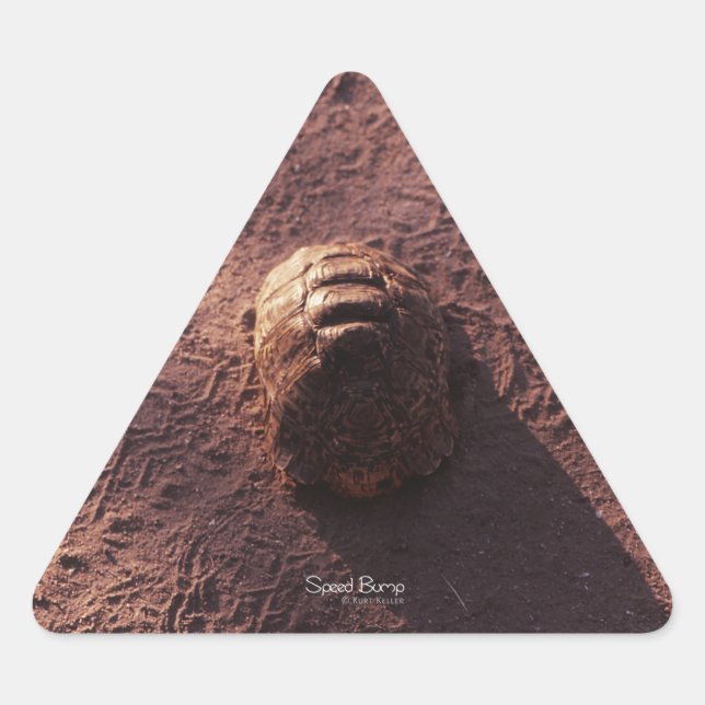 Adesivo Triangular Velocidade (Frente)