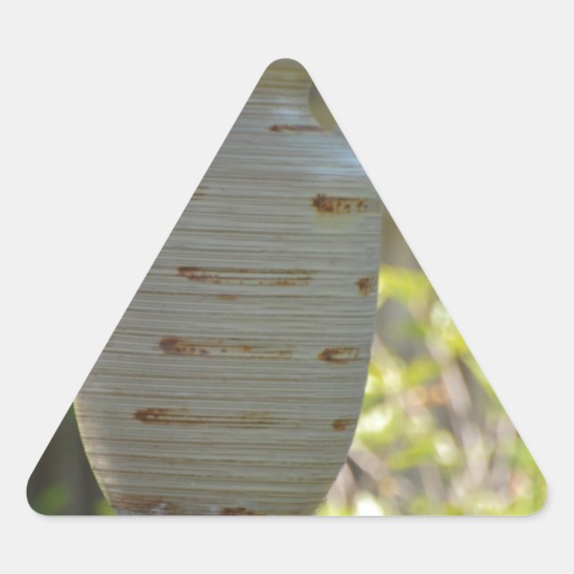 Adesivo Triangular Vida estática (Frente)