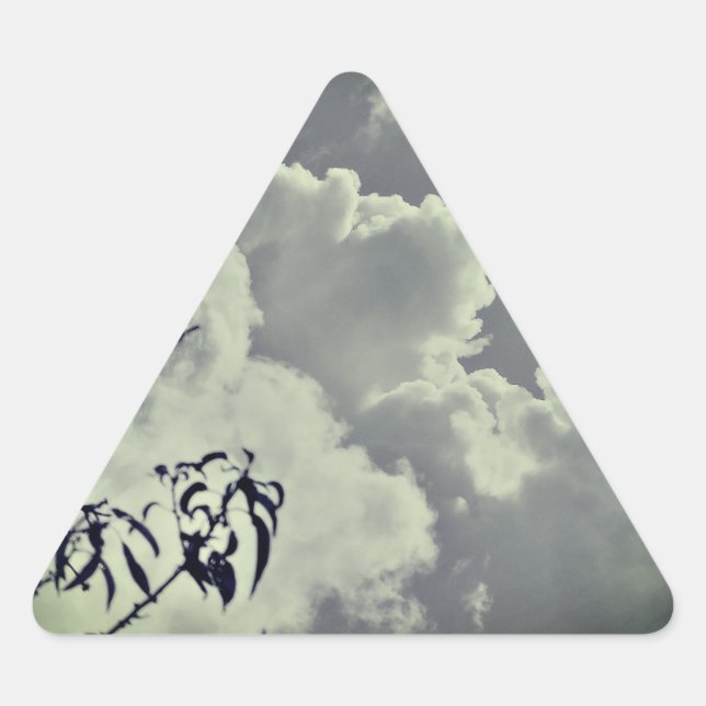 Adesivo Triangular Vinheta (Frente)