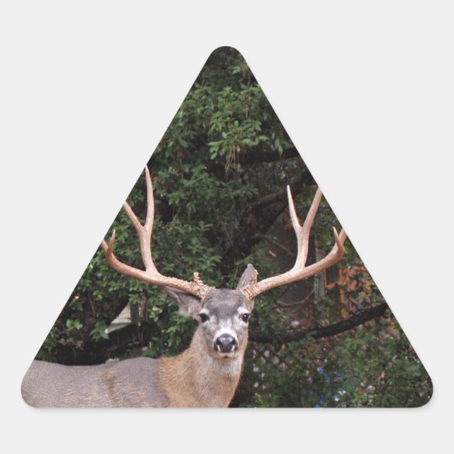 Adesivo Triangular Vinheta de triângulo de veado (Frente)