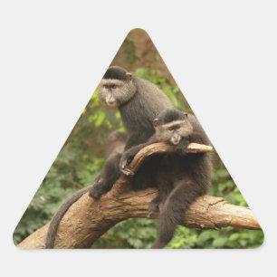 Adesivo Triangular Vinheta de triângulo macaco