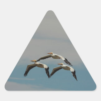 Adesivo Triangular Vinheta Pelicano Voadora