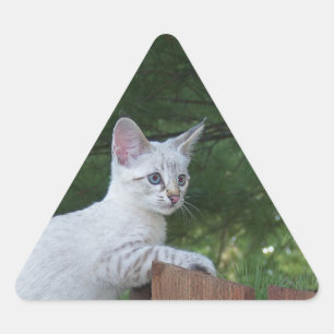 Adesivo Triangular Vinheta Triangular de Cat Savannah Branca